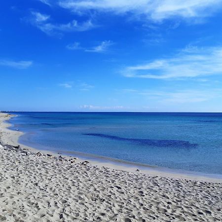 Le Case Di Pat - Palms Home San Pietro in Bevagna Dış mekan fotoğraf