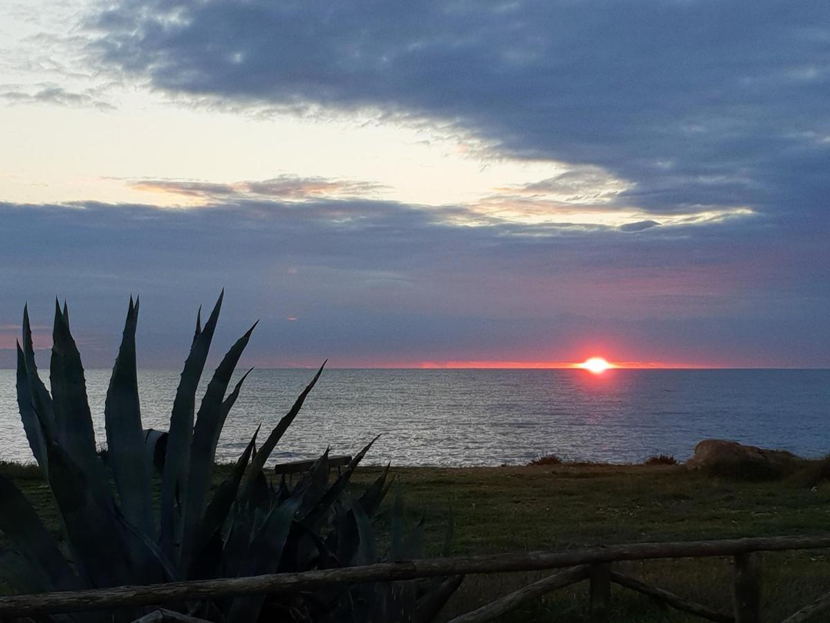 Le Case Di Pat - Palms Home San Pietro in Bevagna Dış mekan fotoğraf