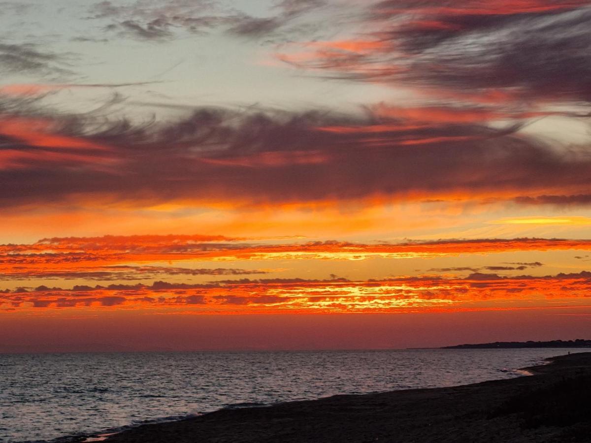 Le Case Di Pat - Palms Home San Pietro in Bevagna Dış mekan fotoğraf