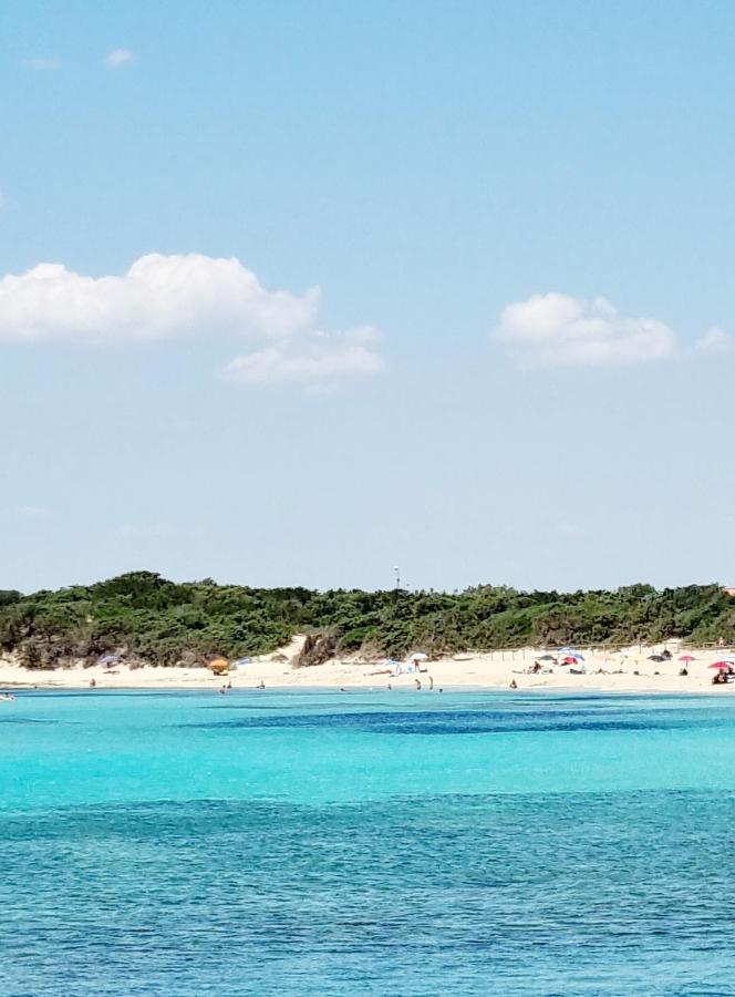 Le Case Di Pat - Palms Home San Pietro in Bevagna Dış mekan fotoğraf