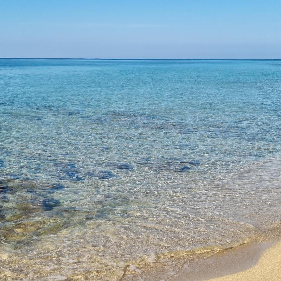 Le Case Di Pat - Palms Home San Pietro in Bevagna Dış mekan fotoğraf
