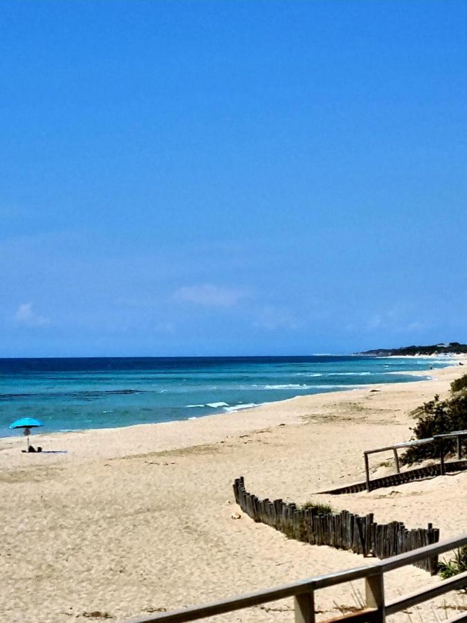 Le Case Di Pat - Palms Home San Pietro in Bevagna Dış mekan fotoğraf