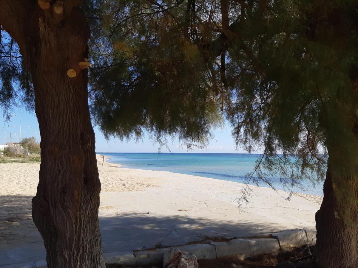 Le Case Di Pat - Palms Home San Pietro in Bevagna Dış mekan fotoğraf